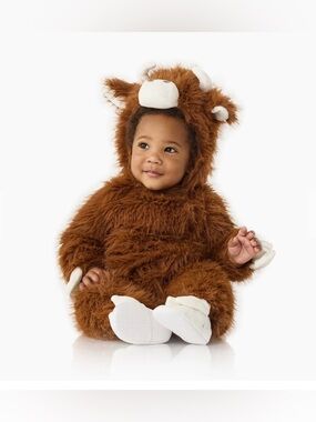Pottery Barn Kids Highland Cow Costume